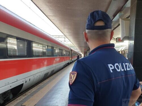 polfer