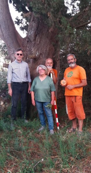 Conversano, Il fragno e i cipressi di Monteferraro: monumenti della natura da condividere