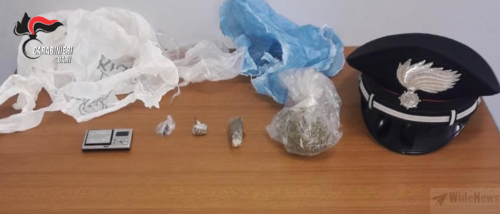Conversano, Scoperta piantagione indoor di canapa, arrestato 20enne