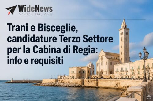 Trani e Bisceglie, candidature Terzo Settore per la Cabina di Regia: info e requisiti