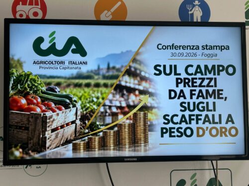 Agricoltura in ginocchio a Foggia: la denuncia di CIA Capitanata tra rincari e prezzi al ribasso