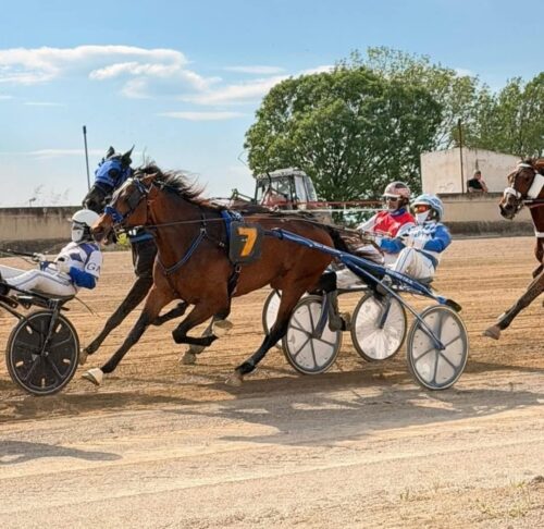 Ippodromo dei Sauri, la Lingua dei Segni protagonista in pista: De Matteo punta dritta sull’inclusione