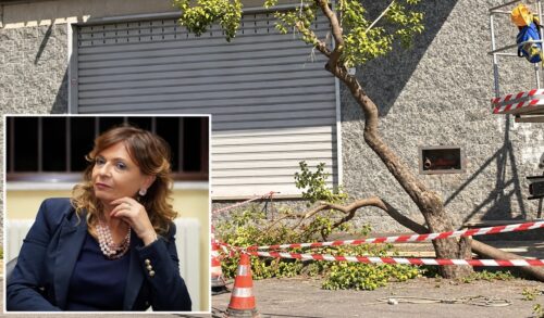 Calabria, Verde pubblico a Corigliano Rossano: Fratelli d Italia attacca il Sindaco su potature e cantieri