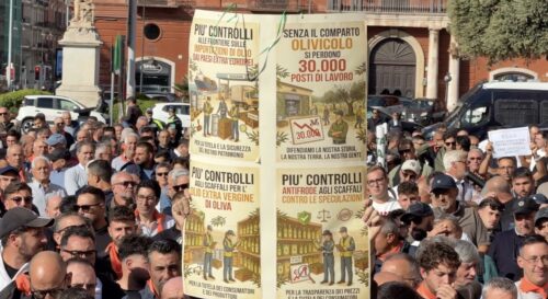 Orgoglio Olivicolo: bolla elettronica e tracciabilità primo passo contro la crisi dell' olio