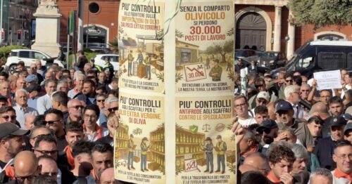 Olio, Orgoglio Olivicolo al Ministero: "Attivare subito il DAO"